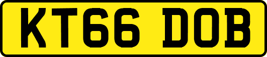 KT66DOB