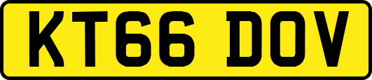 KT66DOV