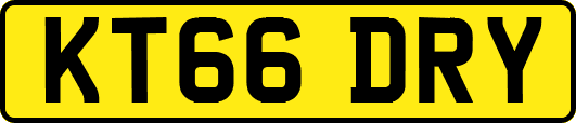 KT66DRY