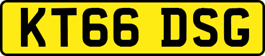 KT66DSG