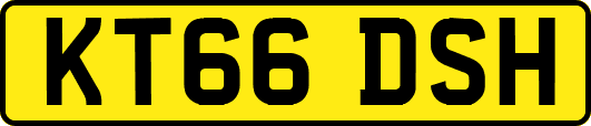 KT66DSH