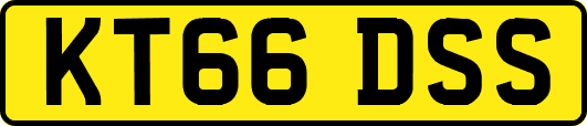 KT66DSS