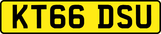 KT66DSU