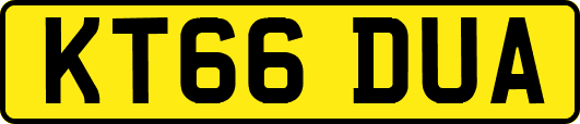 KT66DUA