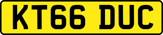 KT66DUC