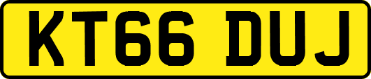 KT66DUJ