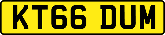 KT66DUM