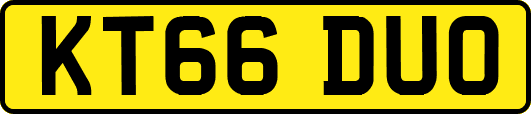 KT66DUO