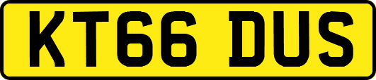 KT66DUS