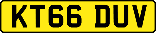 KT66DUV