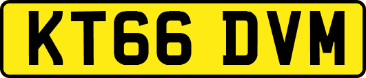 KT66DVM