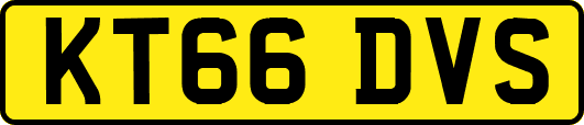 KT66DVS