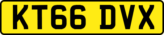 KT66DVX