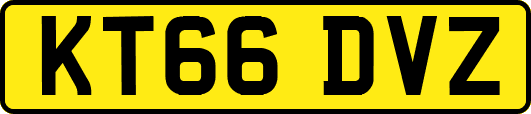 KT66DVZ