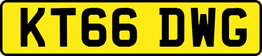 KT66DWG
