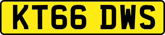 KT66DWS