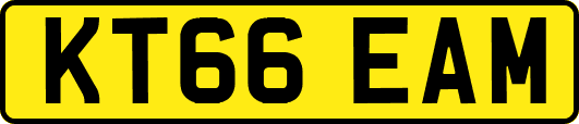 KT66EAM