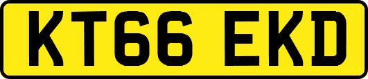 KT66EKD