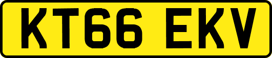 KT66EKV