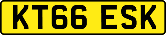 KT66ESK