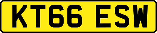 KT66ESW