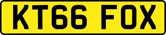 KT66FOX
