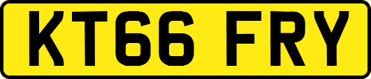 KT66FRY