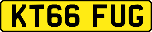 KT66FUG