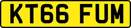 KT66FUM