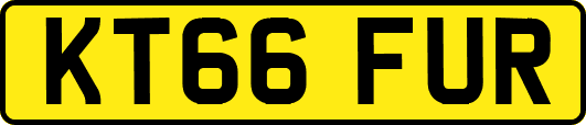 KT66FUR