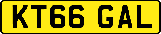 KT66GAL