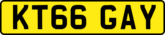 KT66GAY