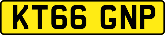 KT66GNP