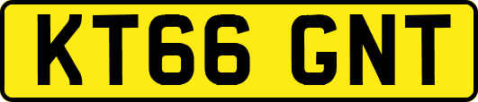 KT66GNT