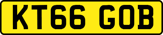 KT66GOB