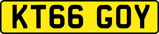 KT66GOY
