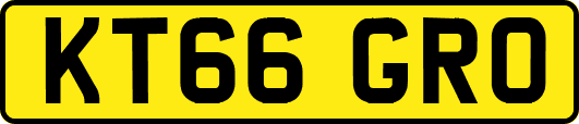 KT66GRO