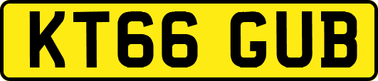 KT66GUB