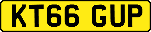 KT66GUP