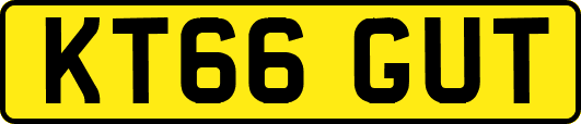 KT66GUT