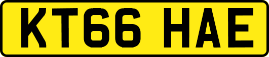 KT66HAE