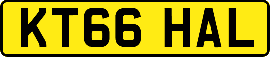 KT66HAL