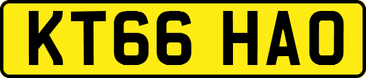 KT66HAO