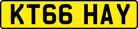 KT66HAY