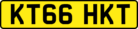 KT66HKT