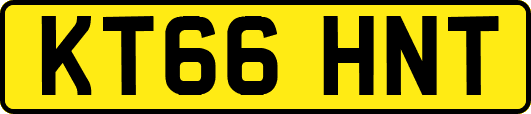 KT66HNT