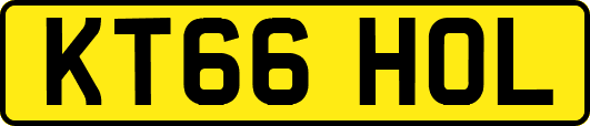 KT66HOL