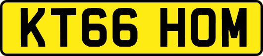 KT66HOM