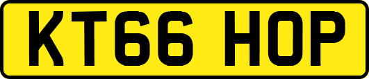 KT66HOP