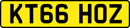 KT66HOZ